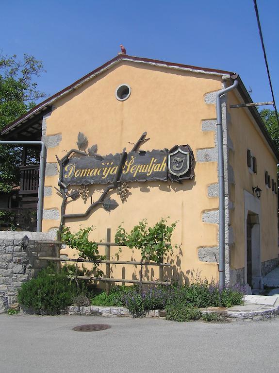 Guesthouse Domacija Sajna Sežana Exteriér fotografie